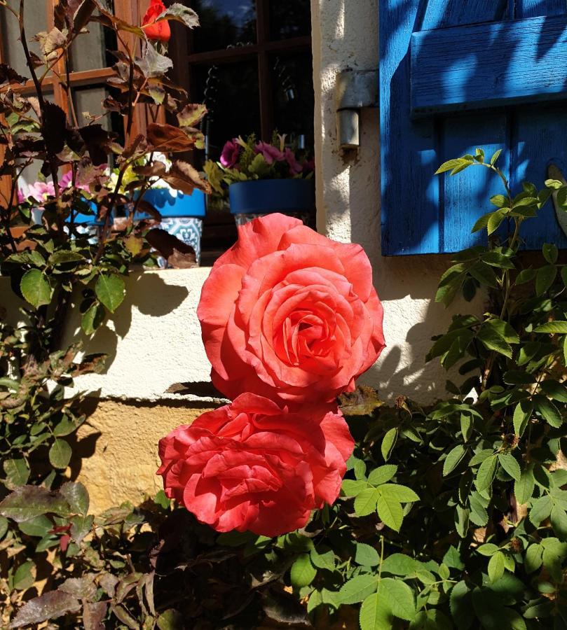 Chambre D'Hotes - B&B Le Petit Bonheur Frayssinet-le-Gélat Εξωτερικό φωτογραφία