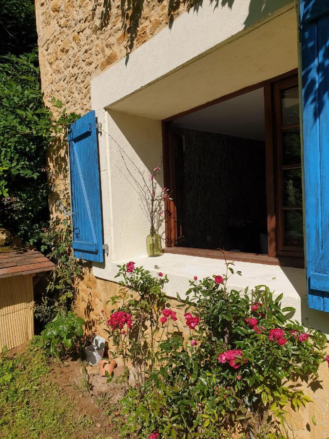 Chambre D'Hotes - B&B Le Petit Bonheur Frayssinet-le-Gélat Εξωτερικό φωτογραφία